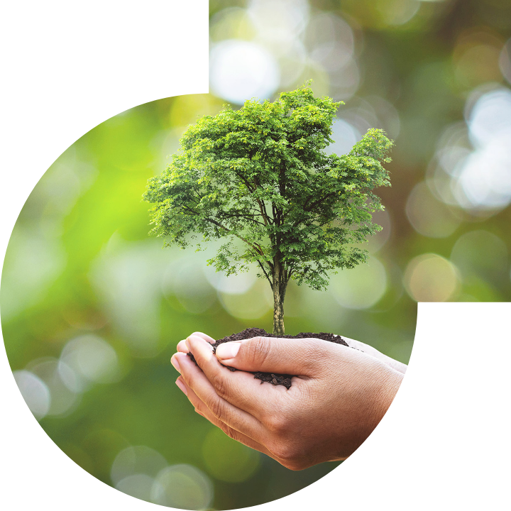 關懷人類、文化、環境與社會